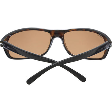 Serengeti Bormio SS009004 Shiny Tortoise Black