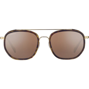 Serengeti Boron SS525001 Bold Gold Dark Tortoise