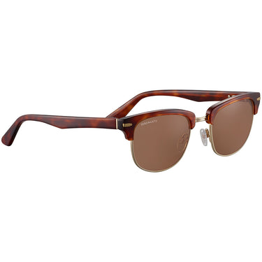 Serengeti Chadwick SS562003 Shiny Classic Havana Shiny Light Gold