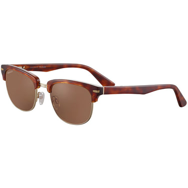 Serengeti Chadwick SS562003 Shiny Classic Havana Shiny Light Gold