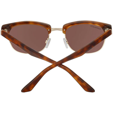 Serengeti Chadwick SS562003 Shiny Classic Havana Shiny Light Gold