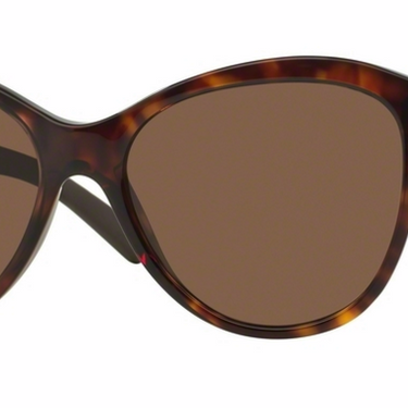 DKNY Zonnebril DY4123 301673 Dark Tortoise