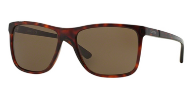 DKNY Zonnebril DY4127 366973 Havana