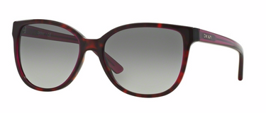 DKNY Zonnebril DY4129 367211 Violet