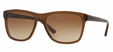 DKNY Zonnebril DY4131 367513 Brown