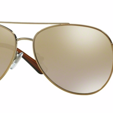 DKNY Zonnebril DY5082 12236E Brushed Gold