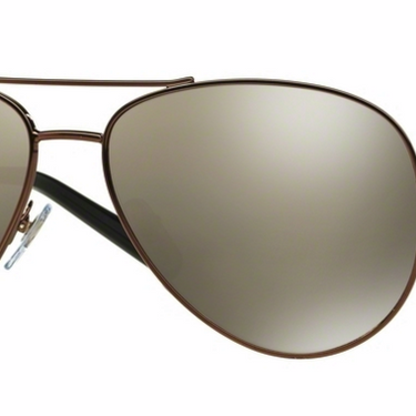 DKNY Zonnebril DY5083 11696F Brown