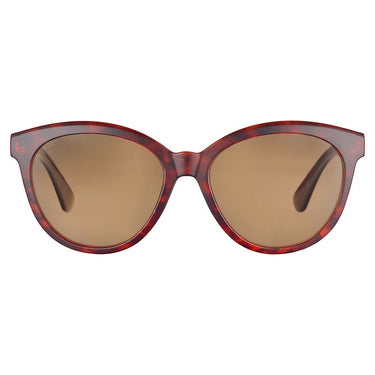Serengeti Zonnebril Endee SS573001 Matte Classic Tortoise