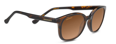 Serengeti Mara 8773 Shiny Tortoise