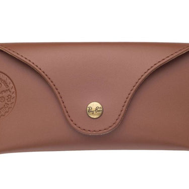 Ray-Ban Etui (Bruin Limited Edition )