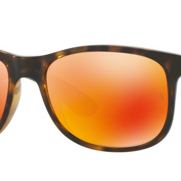 Ray-Ban Andy RB4202 710/6S Shiny Havana