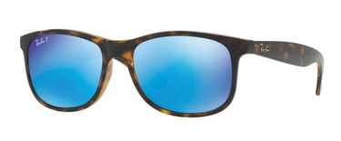 Ray-Ban Andy RB4202 710/9R Shiny Havana
