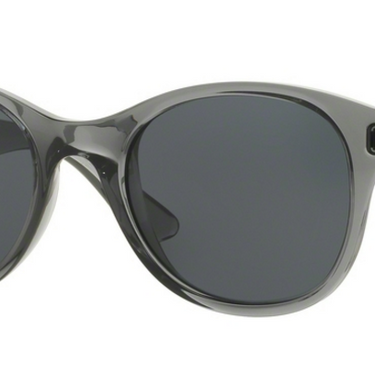 Ray-Ban RB4203 621/87 Trasparent Shiny Grey
