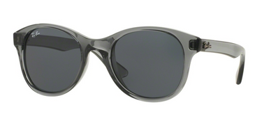 Ray-Ban RB4203 621/87 Trasparent Shiny Grey