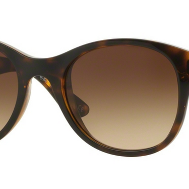 Ray-Ban RB4203 710/13 Shiny Havana