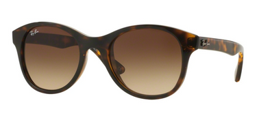 Ray-Ban RB4203 710/13 Shiny Havana