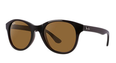 Ray-Ban RB4203 714 Shiny Bro Brown