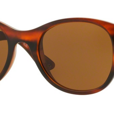Ray-Ban RB4203 820/73 Shiny Striped Havana