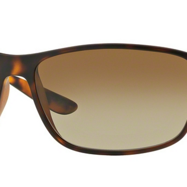Ray-Ban RB4231 894/T5 Matte Havana