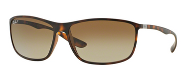 Ray-Ban RB4231 894/T5 Matte Havana