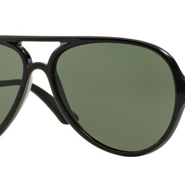 Ray-Ban RB4235 601 Black