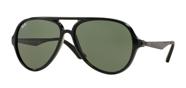 Ray-Ban RB4235 601 Black