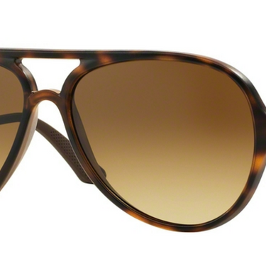 Ray-Ban RB4235 894/85 Matte Havana
