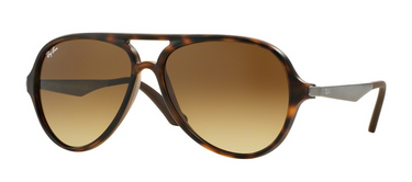 Ray-Ban RB4235 894/85 Matte Havana