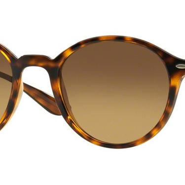 Ray-Ban Liteforce RB4237 710/85 Havana