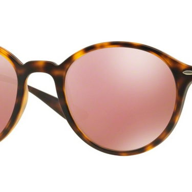 Ray-Ban Liteforce RB4237 894/Z2 Matte Havana