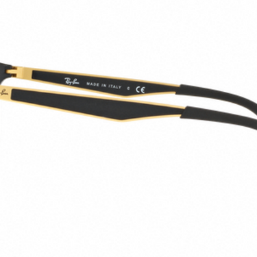 Ray-Ban RB4267 622771 Shiny Black
