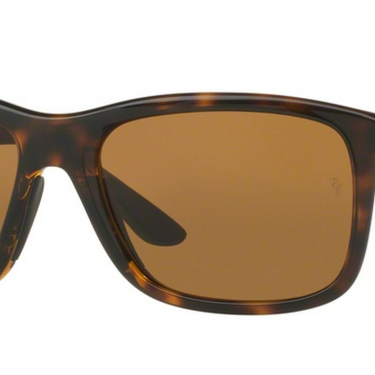 Ray-Ban RB8352 622183 Havana