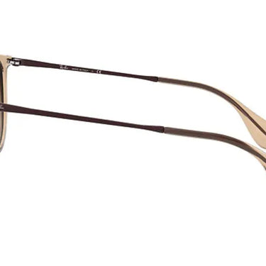 Ray-Ban Erika RB4171 651413 Transparent Light Brown