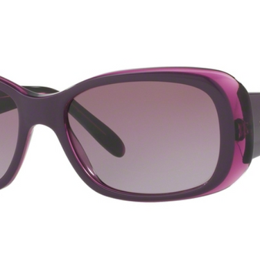 Vogue Zonnebril VO2606S 24098H Top Violet/Violet Transp