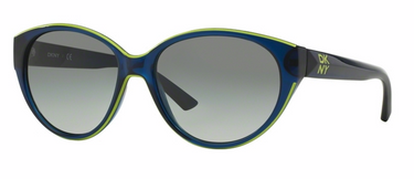 DKNY Zonnebril DY4120 365911 Blue