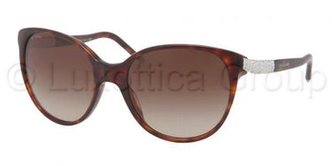 Bvlgari Zonnebril BV8101B Havana-Bruin