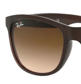 Ray-Ban Andy RB4202 607313 set reserve glazen