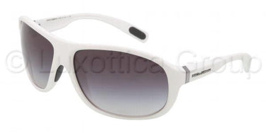 Dolce & Gabbana Zonnebril DG6069 Grijs