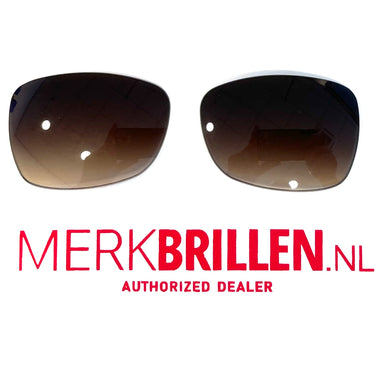 Set glazen voor DKNY 4073 bruin gradient