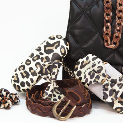 Etui Leopard met microvezeldoekje