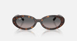 Ray-Ban RB2223 902/M3 havana met gepolariseerde grijze verloopglazen, vooraanzicht
