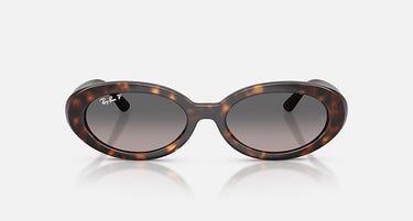 Ray-Ban RB2223 902/M3 havana met gepolariseerde grijze verloopglazen, vooraanzicht