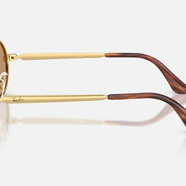 Ray-Ban RB3931 by A$AP Rocky 001/53 arista goud, glazen in bruin – zijaanzicht