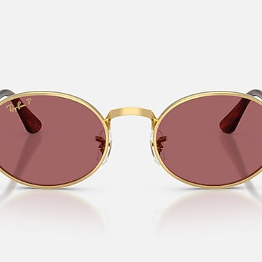 Ray-Ban RB3931 by A$AP Rocky 001/AF arista goud, glazen in paars gepolariseerd – vooraanzicht