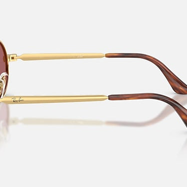 Ray-Ban RB3931 by A$AP Rocky 001/AF arista goud, glazen in paars gepolariseerd – zijaanzicht