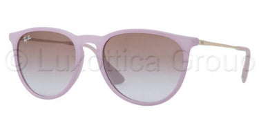 Ray-Ban Zonnebril RB4171 Violet-Bruin