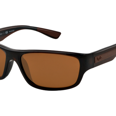 Ray-Ban RB4196 Havanna Gepolariseerd