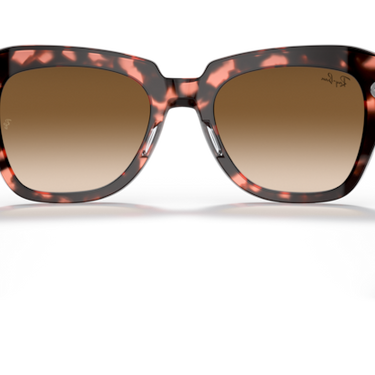 Ray-Ban RB2186 133451 State Street roze havana – achteraanzicht