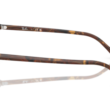Ray-Ban Raimond RB2231 141833 transparant fantasie bruin – zijaanzicht