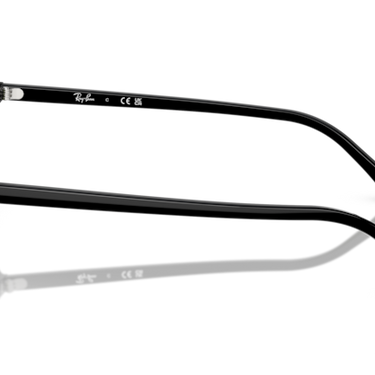 Ray-Ban Raimond RB2231 901/31 zwart – zijaanzicht